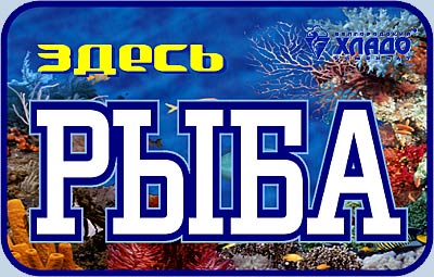 Здесь рыба